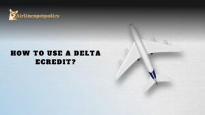 How to Use a Delta eCredit?