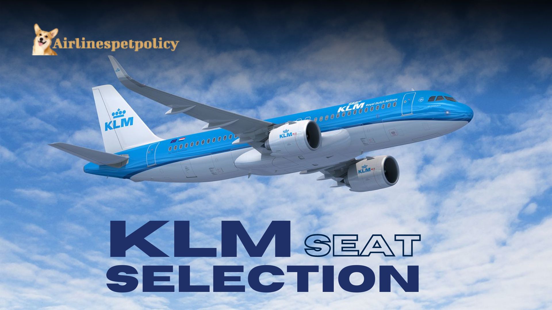 klm seat assignment fee