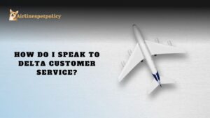 How do I speak to Delta customer service?