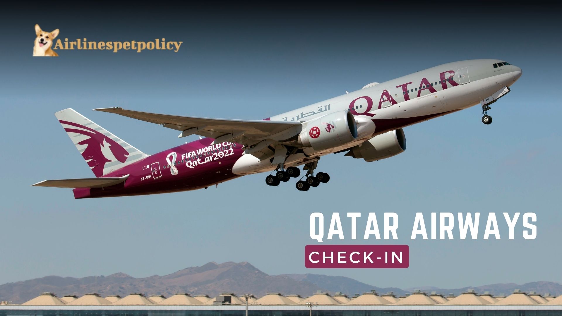 Qatar Airways Check In Policy Process & Fee