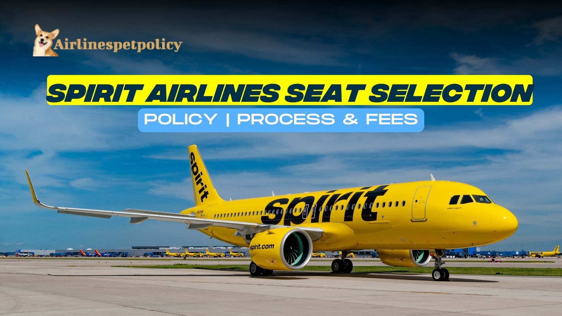 Spirit Airlines Seat Selection Process, Policy & Fee