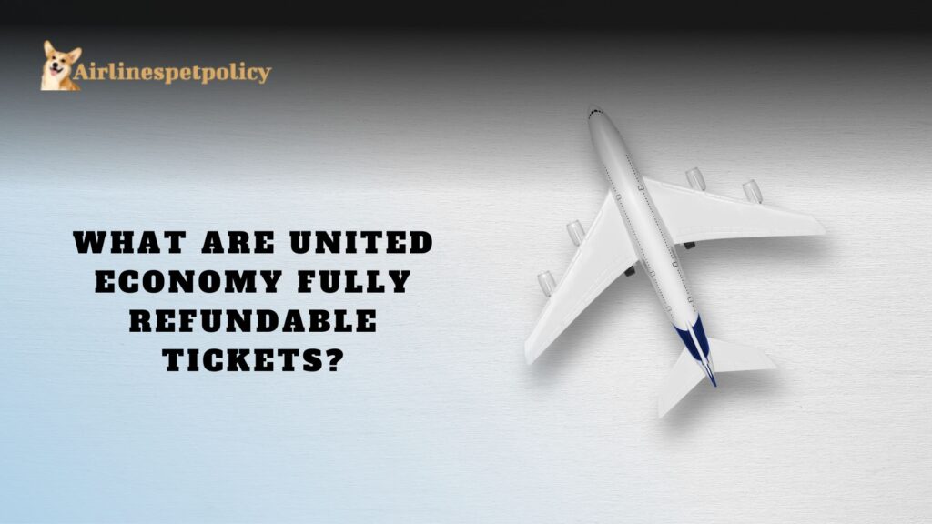 What are United Economy Fully Refundable Tickets?