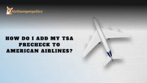 How do I add my TSA PreCheck to American Airlines?